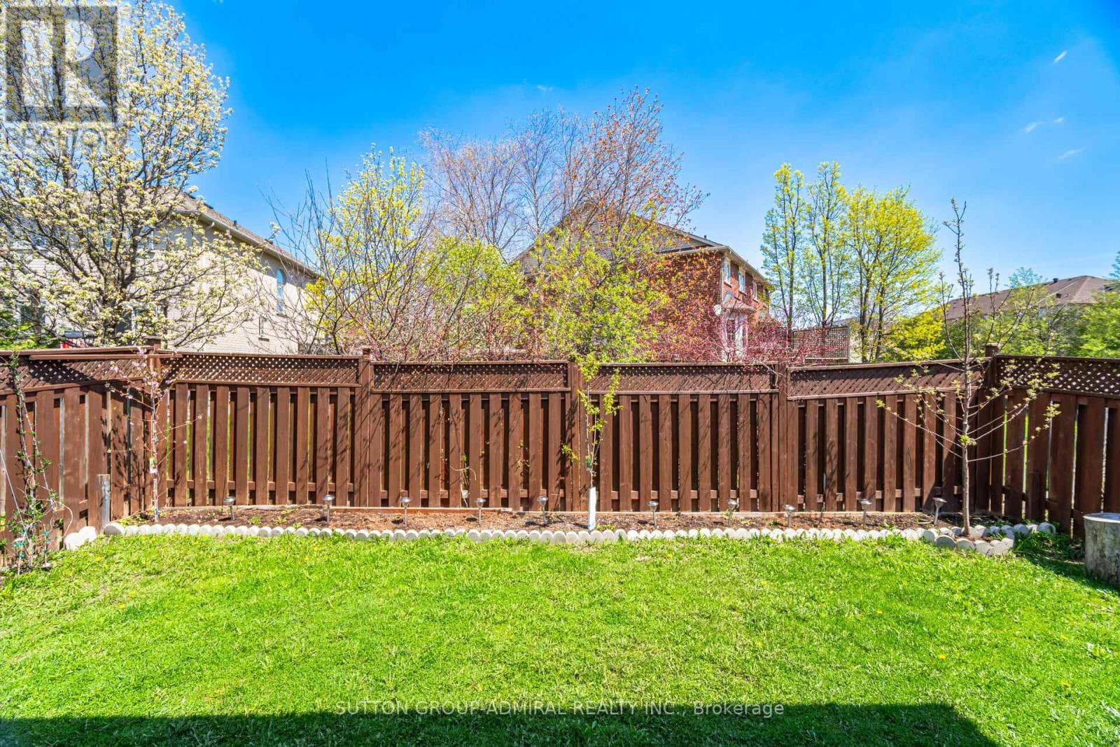 Renovated 3+1 link detached in Bayview Glen with legal-style basement suite, walk to Langstaff GO 48