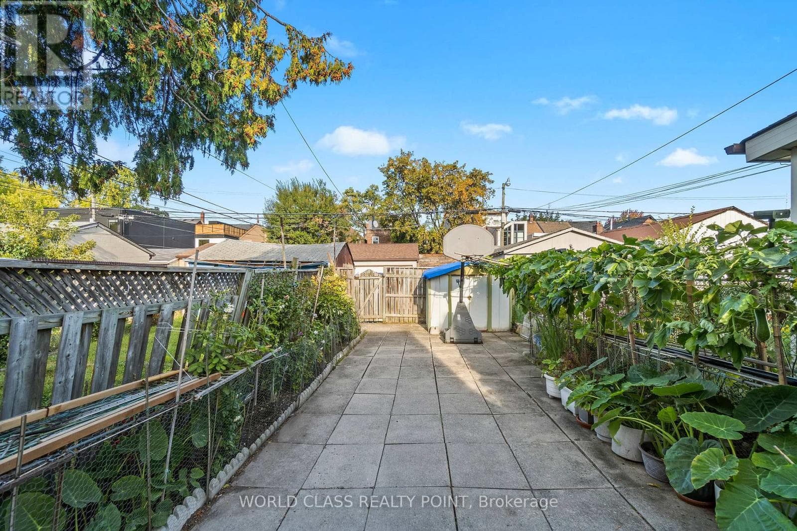 Detached Palmerston-Little Italy renovator with laneway house potential, steps to Ossington Subway 9