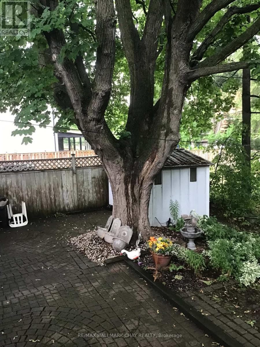 Clairlea-Birchmount bungalow on 48 x 135 ft lot, walk to Warden Subway, garden suite potential 5